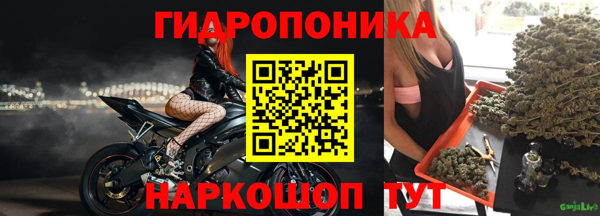 Бошки Шишки Ganja Лянтор